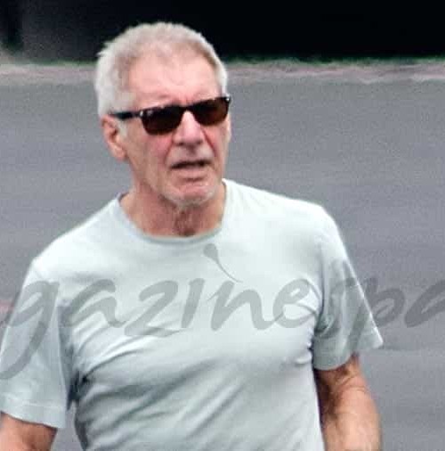 Harrison Ford ya no pilota su avión