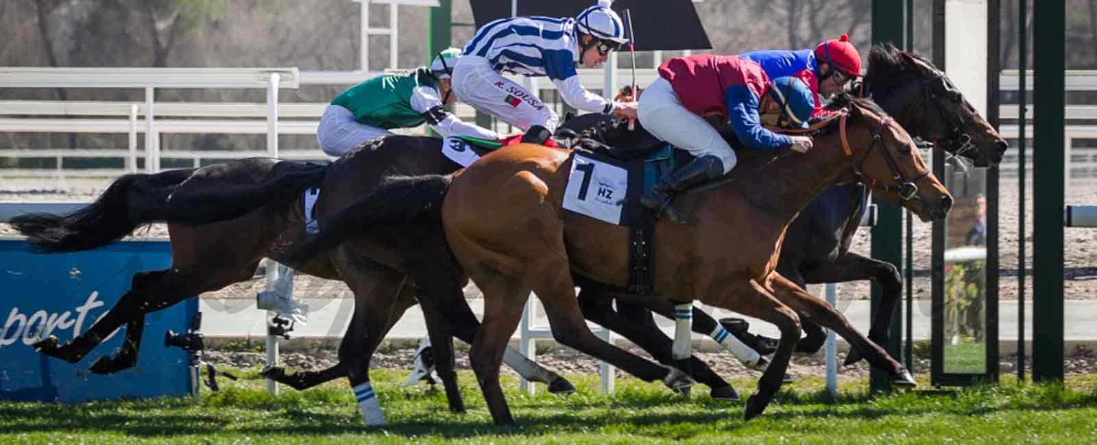 El Hipódromo de La Zarzuela inaugura su temporada de otoño 2017