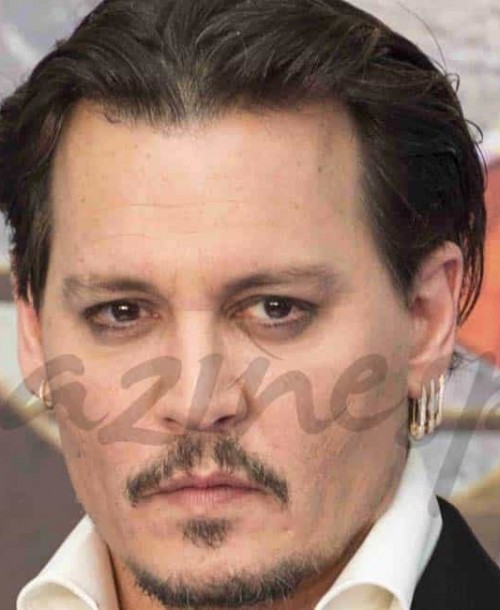Johnny Depp de nuevo soltero