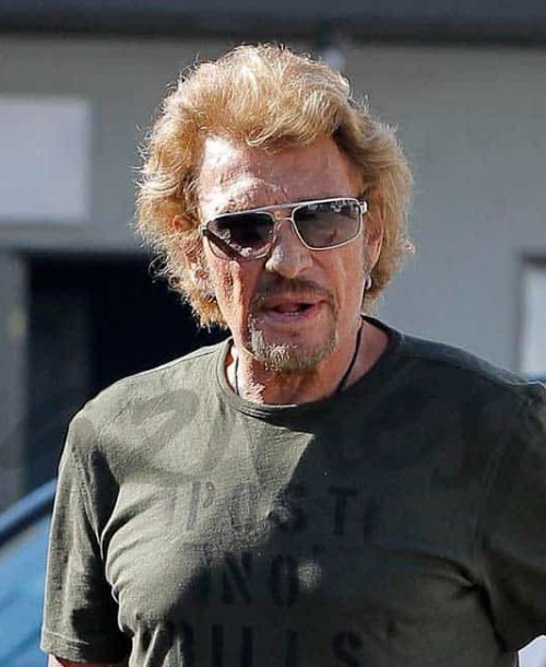 Johnny Hallyday solidario