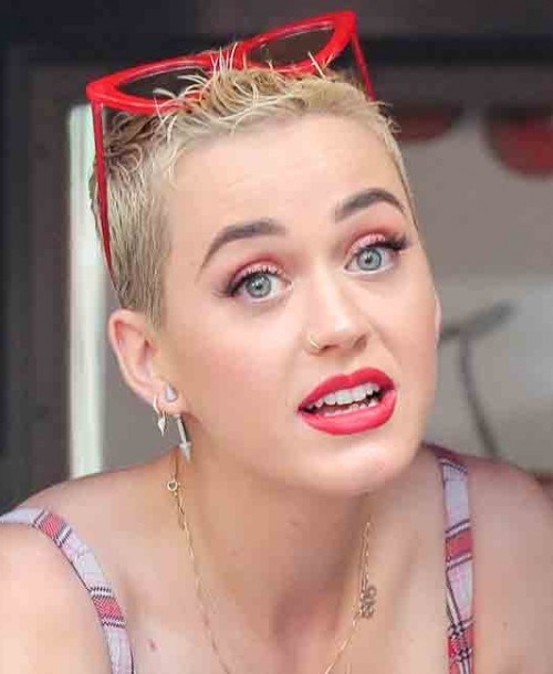 Katy Perry vendedora de hamburguesas para promocionar su último trabajo