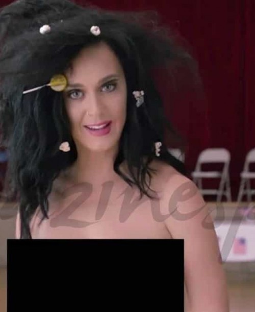 Katy Perry se desnuda para pedir el voto