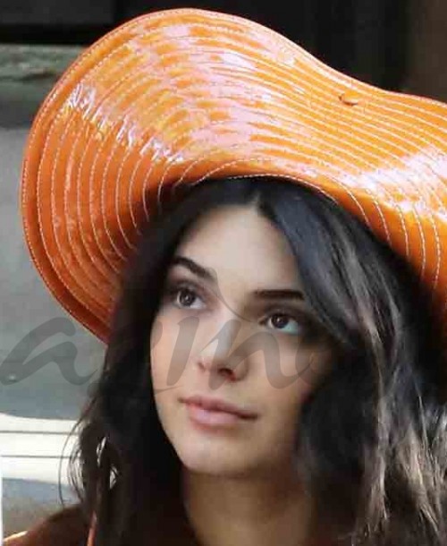 Kendall Jenner se camufla como un Muppet