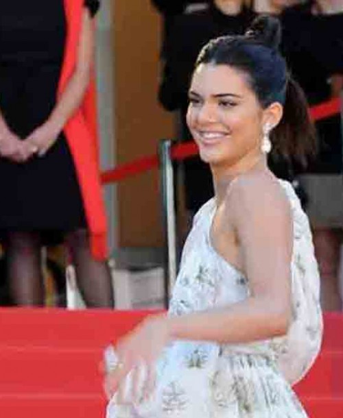 Kendall Jenner se desnuda en Instagram