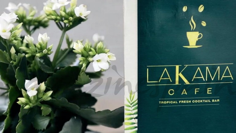 Fran Larrañaga y Lakama