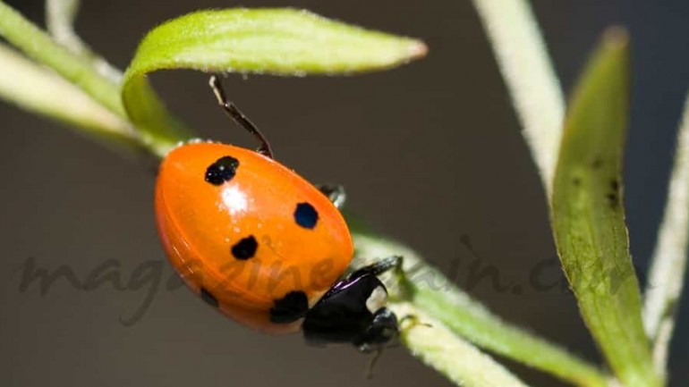 Tras el verano la piel sufre las consecuencias