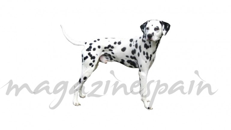 Iguala el tono de tu piel