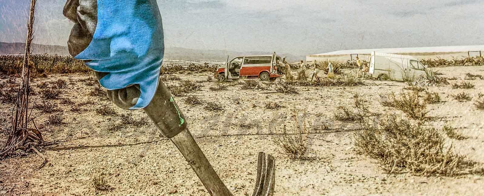 Mar de plástico- Último capítulo – «Justicia»