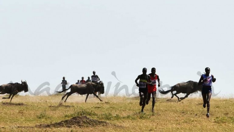 Un Maratón salvaje