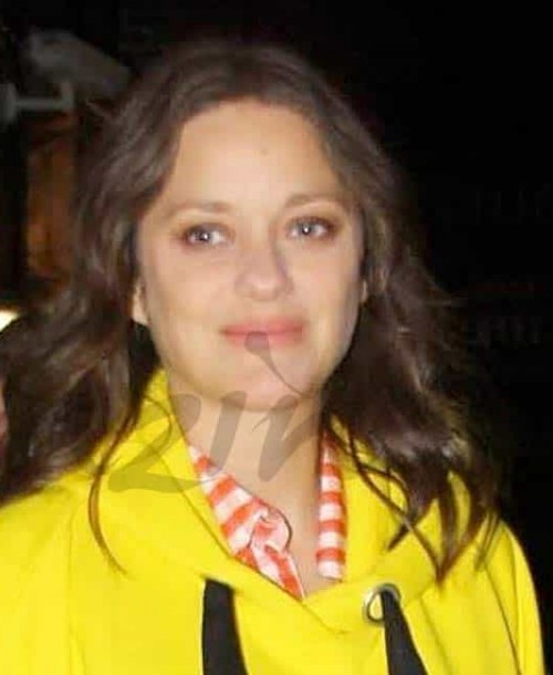 El estilo premamá de Marion Cotillard