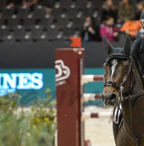 Marta Ortega, centrada en su carrera como amazona