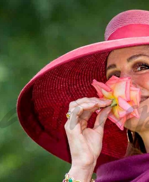 Máxima de Holanda, reina entre rosas