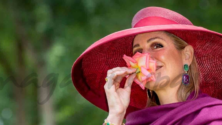 Máxima de Holanda, reina entre rosas