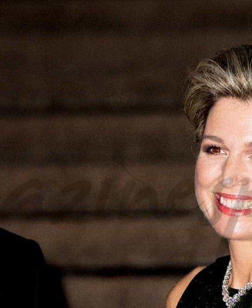 Máxima y Guillermo de Holanda, una noche en la ópera