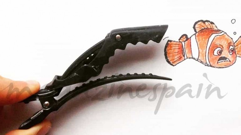 Un poco de color a la vida