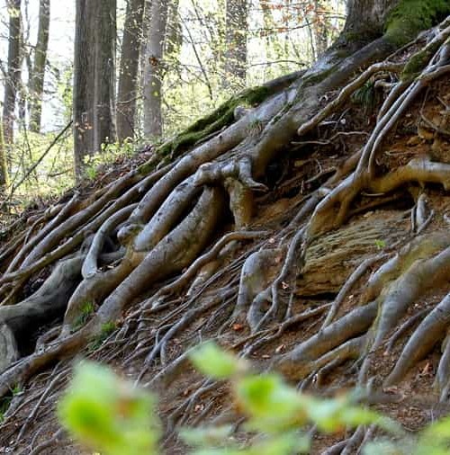 Búscame en la naturaleza