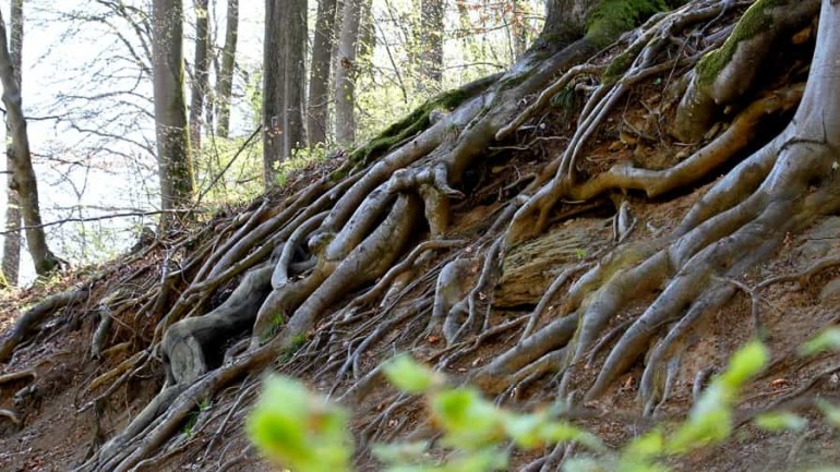 Búscame en la naturaleza