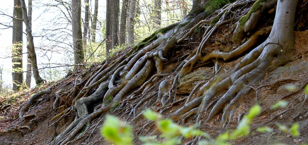 Búscame en la naturaleza