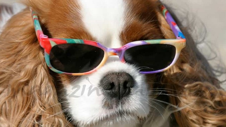 Los efectos perjudiciales del sol en los ojos