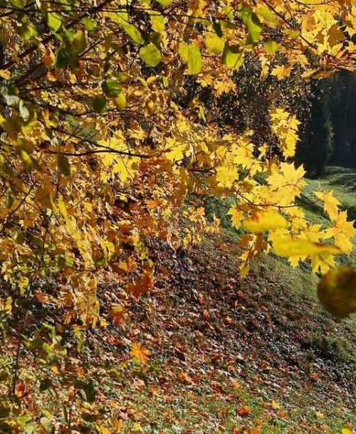 Disfruta del otoño en el Valle del Jerte