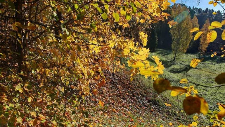 Disfruta del otoño en el Valle del Jerte