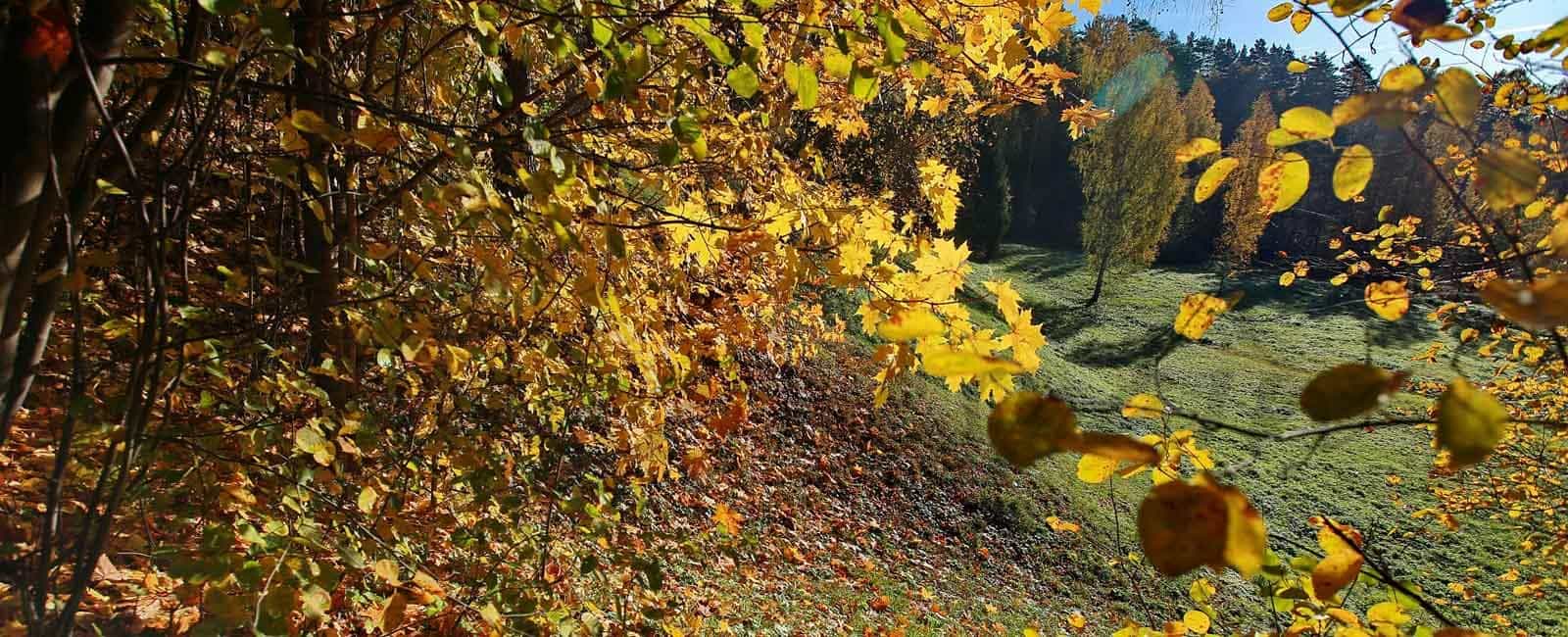 Disfruta del otoño en el Valle del Jerte