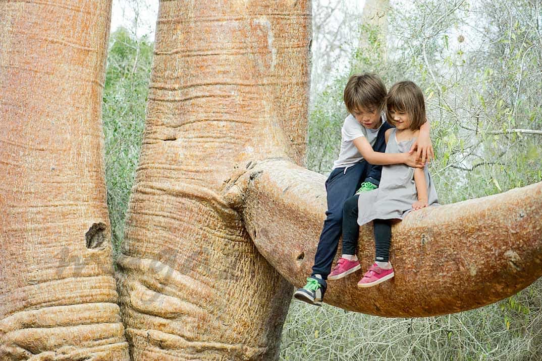 padres-separados-4