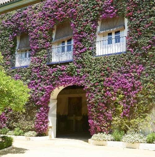 El Palacio de Dueñas abre sus puertas