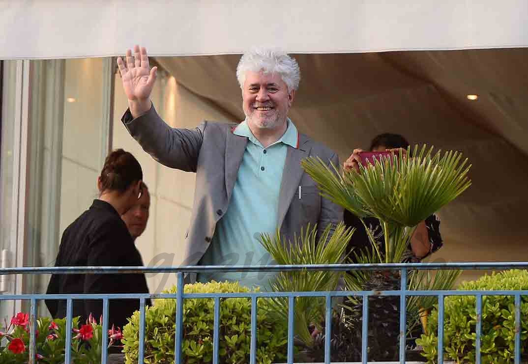 pedro almodovar jurado de cannes