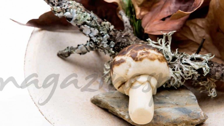 «Placer Otoñal», la mejor tapa