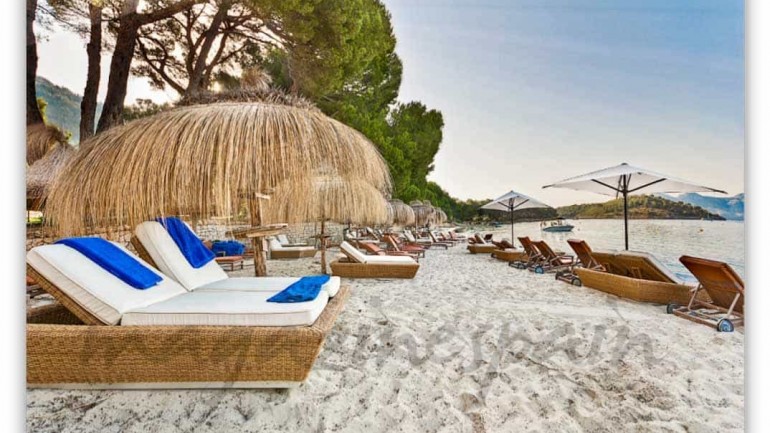 Los 6 propósitos más hedonistas para 2016