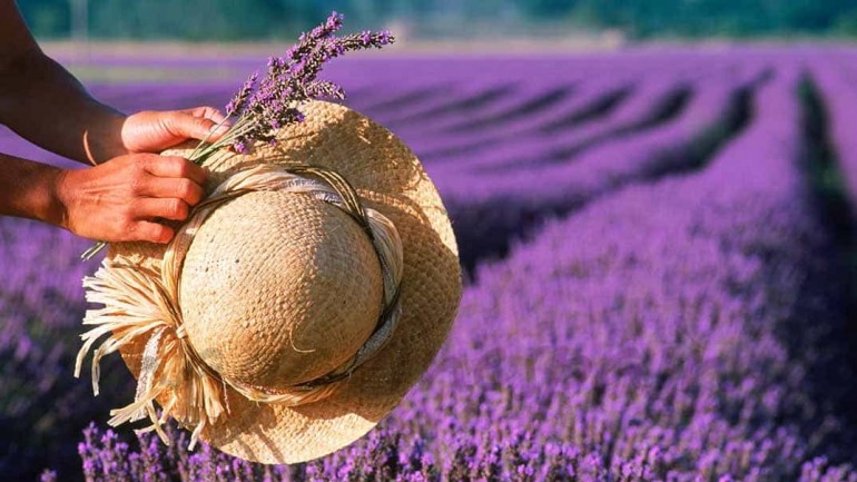 Working Girl: Primavera