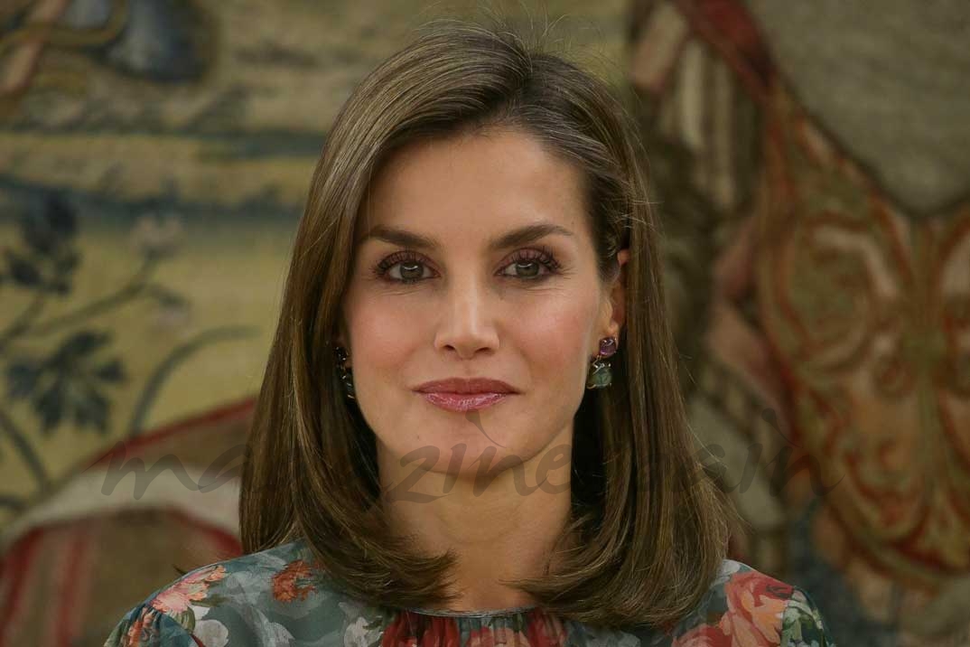 reina letizia vestido zara