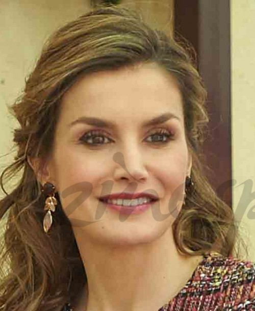 La reina Letizia, solidaridad con los discapacitados