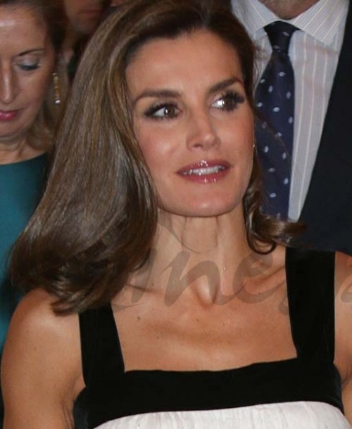 La reina Letizia sorprende con un vestido minifaldero de Teresa Helbig