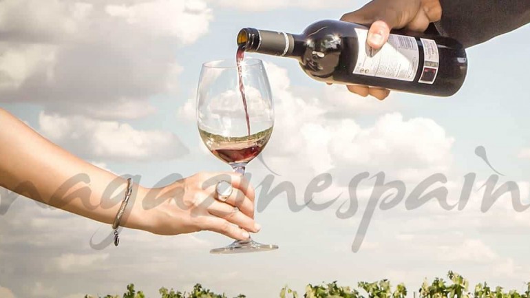 La Ruta del Vino de Ribera del Duero: un fin de semana lleno de sabor y tradición