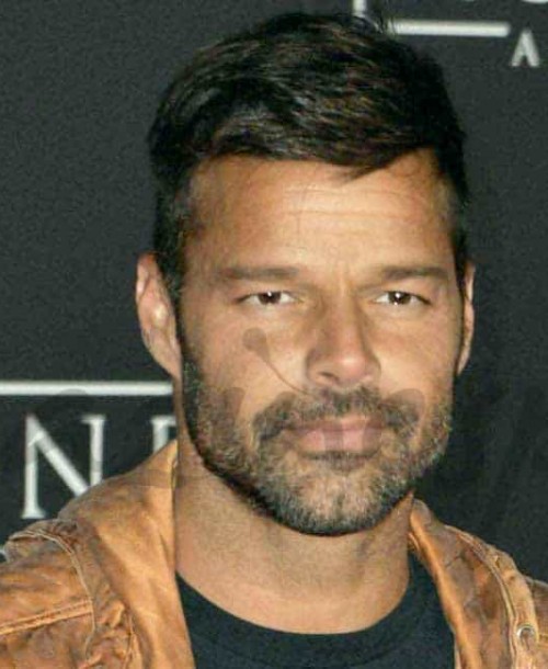 Ricky Martin posa, por primera vez, con su novio y sus hijos