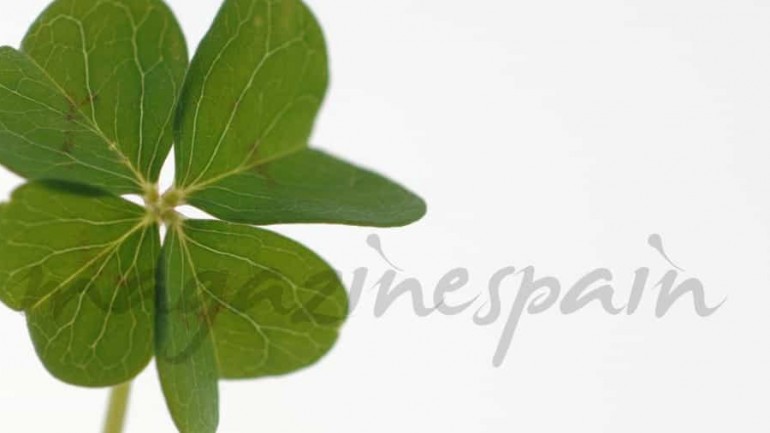 Celebra San Patricio