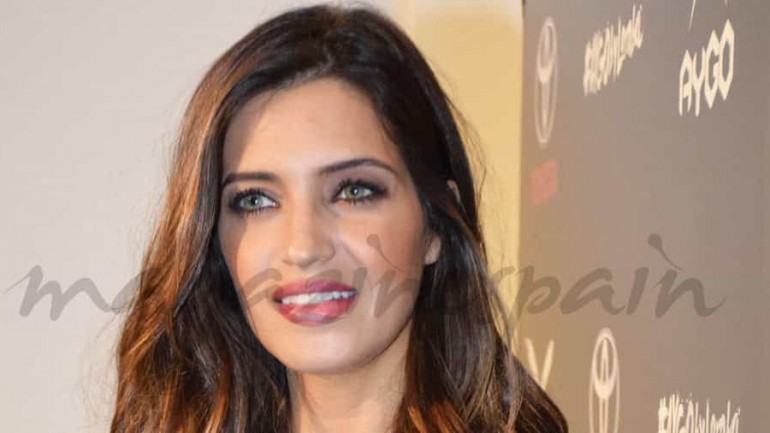 Sara Carbonero e Iker Casillas, esperan otro niño