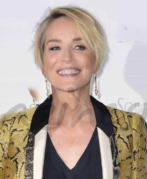 Los increíbles 58 años de Sharon Stone