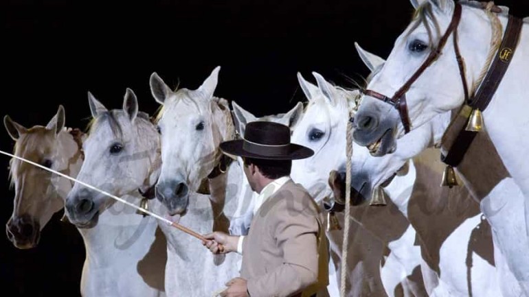 Comienza SICAB, el Salón Internacional del Caballo