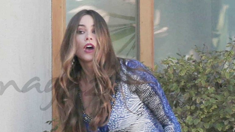 Sofía Vergara, continúa la batalla con su ex por sus embriones