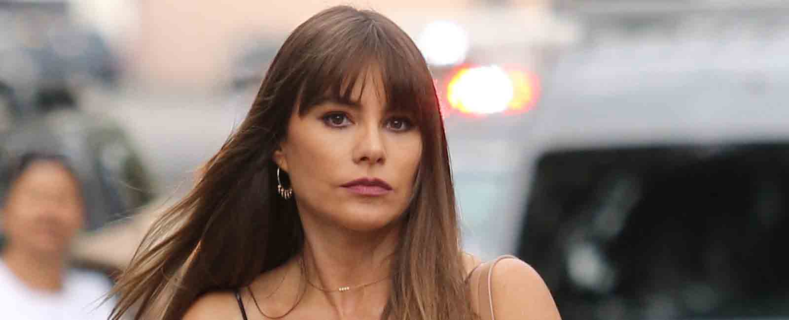 Sofía Vergara ejerce de ama de casa desmintiendo los rumores de separación