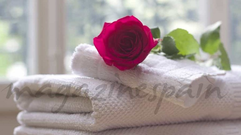 Sant Jordi: La belleza con rosas