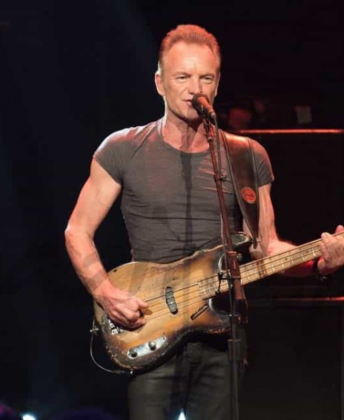 Sting protagonista del primer aniversario del atentado de Bataclan