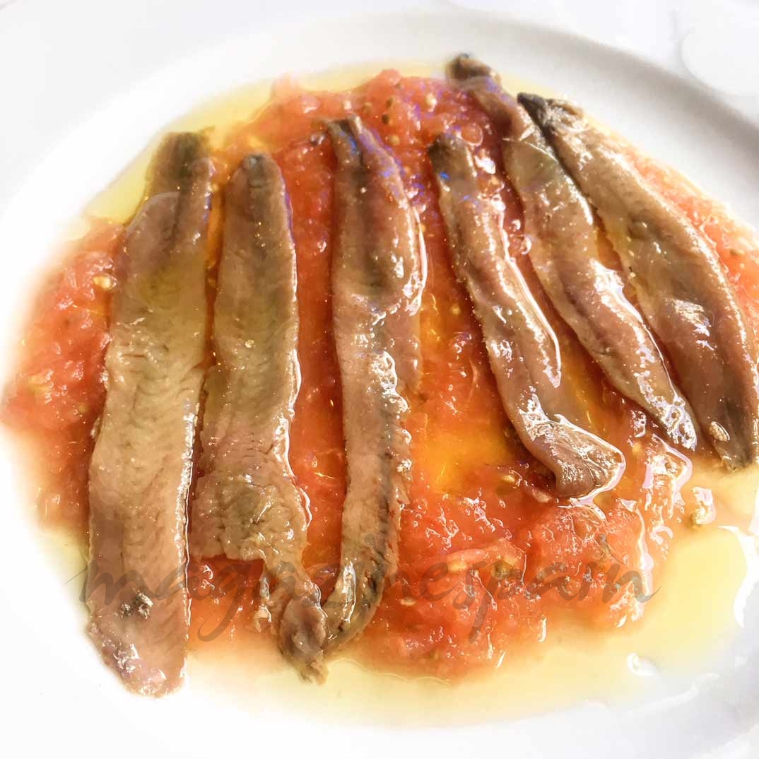 Anchoas del Cantábrico