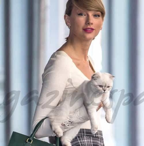 Taylor Swift y su gatita… separadas al nacer