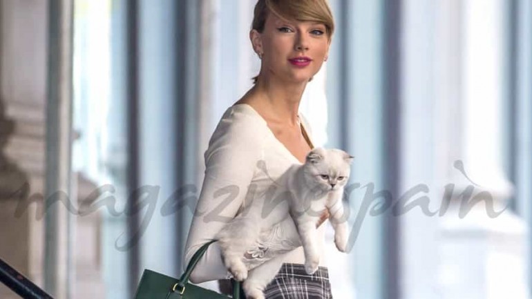 Taylor Swift y su gatita… separadas al nacer