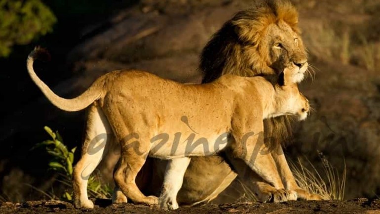 Tócame, tócame mucho…