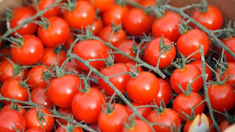 Para refrescar cuerpo y mente en verano
